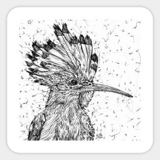 HOOPOE pencil portrait .1 Sticker